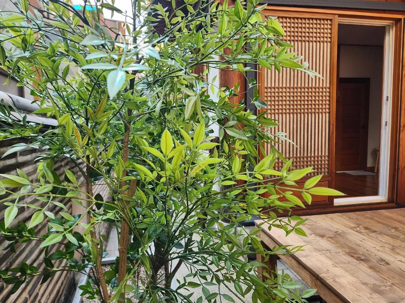 Traditional Family Hanok, Moonlight Fragrance 首爾 别墅