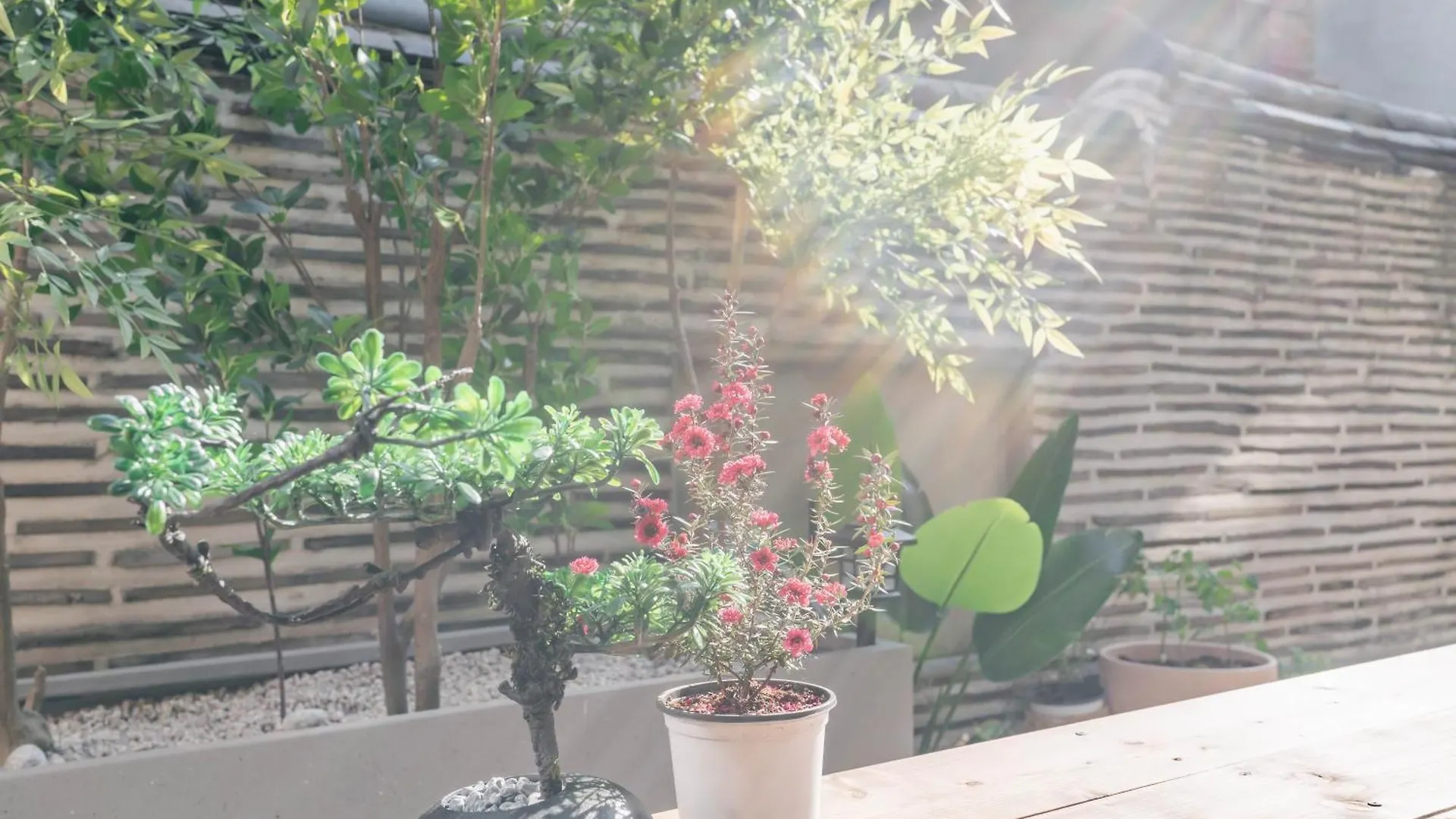Traditional Family Hanok, Moonlight Fragrance 首爾 0*,